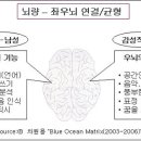 우뇌아 수학 잘하는 법?? 이미지