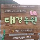 태경농원 이미지