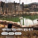 우리들 랜드 | 에버랜드 사파리 로스트밸리 워킹사파리 꿀팁 후기