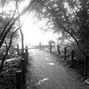 무림약국 이미지