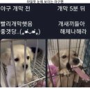 와쿠와쿠