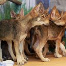 대전오월드 이미지