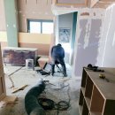 날아라홍돼지 이미지