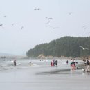 춘장대해수욕장 이미지