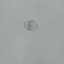 수원-0505 이미지