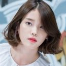 스파커치 이미지