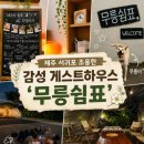 무릉세탁 | 제주도 조용한 게스트하우스 불멍 포트럭파티 강아지가 있는 감성숙소 무릉쉼표