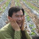 장수둠벙민박 | [스크랩] 늦어도 올리는게 낫죠? 한강3구간, 후기입니다.