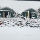 설국농장 이미지