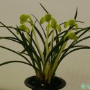 한무도장 이미지