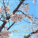 태양푸드 | 서울 송파구 호수벚꽃축제 일정 공연 푸드트럭 정보 후기