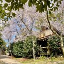 맨션375 | 제주도 숙소 예매 후기 | 효도여행 애월,협재 가성비 20만원 이하 펜션, 독채 추천 리스트 5