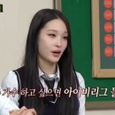 아이비리그