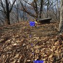 지슬1리 이미지