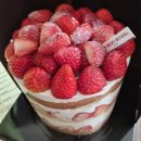 시월애호텔 | 대전하면 성심당 / 성심당 롯데백화점 대전점