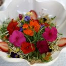 왕곱배기 냉면 이미지