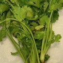 COGIT(코지트) 이미지