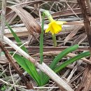 바당민박 이미지