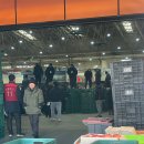 안동청과 이미지