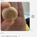 연지동물병원 | 영써리투의 10월 마무리와 11월의 시작