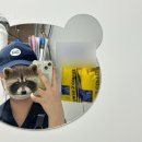 복지다방 | 빽다방 알바 후기 | 주말 마감 업무 꿀팁, 복지, 장단점(feat. 카페무경력)