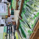 베스트 드림마트 이미지