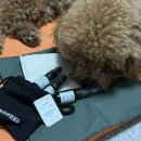 스니피드(SNIFFEED) 이미지