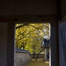 정자형가옥 | 충청도 보령 가을 단풍여행 청라은행마을 &amp; 신경섭 가옥 사진찍기좋은곳