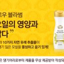봄빛테라피 이미지