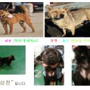 바우 - 마포구 와우산로29라길 7 | 바우