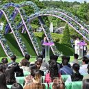 (주)제주로국제여행사 이미지