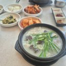 (주)동원홈푸드 제닉 | [직장인 일상일기] 많이 먹고싶은데 먹을 수 없어 / 새 강아지 이름 / 곰의 출장기