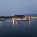 군산여객㈜ | 한라산 철쭉