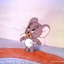 톰과제리 이미지