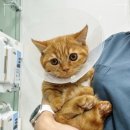 주안동물병원 이미지