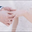 모범라이프