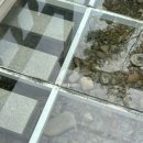 성현숙이네 | 용인 데이트코스 추천, 용인 대형 카페 칼리오페 솔직 후기, 주차, 브런치, 베이커리