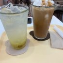 마리피앤디 이미지