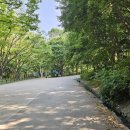 행복한 쉼터&문화공간 나무그늘 | 데이트 : 서울숲 사슴 방사장과 곤충식물원 구경, 포켓몬 30주년 팝업 행사까지 완벽했던 주말 나들이 후기