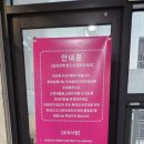 설렘고양이카페 이미지