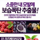 베리헤어 - 고흥군 고흥로 2996 | 베리헤어