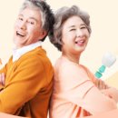 시온글로벌 주식회사 이미지