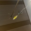 정성내과의원 이미지