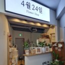 정선 청년몰 티스토리