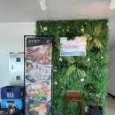 삼척 수제버거 오션테이블 이미지