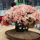 자유시장 이미지