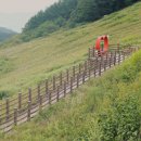 초원동물병원 이미지