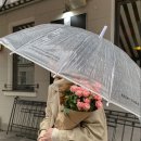 오케이글라스 | 🌸 르노 필랑트 신차패키지｜무광 화이트 차량 시공 후기 (마디코 아비스NR + 무광 PPF)