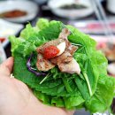 꾸지뽕시대 이미지