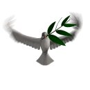 3차원의 행복 (딤전 6:17-19)